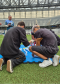 IMAGENS DO mutirão do estádio ao emprego