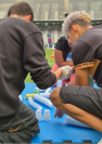 IMAGENS DO mutirão do estádio ao emprego