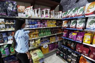 Com quase 71 mil novas vagas, Paraná lidera geração de empregos no Sul no 1º semestre