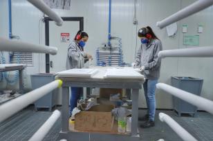 Rede Sine do Paraná lidera colocação de mulheres no mercado de trabalho em 2023