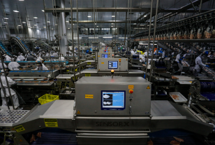 Serviços impulsionam geração de empregos e consolidam liderança do Paraná no mercado de trabalho em 2025