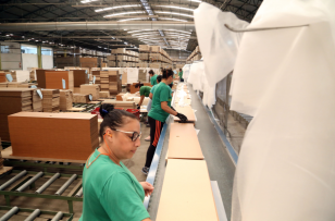 Paraná lidera contratação de mulheres e jovens na Região Sul em 2025