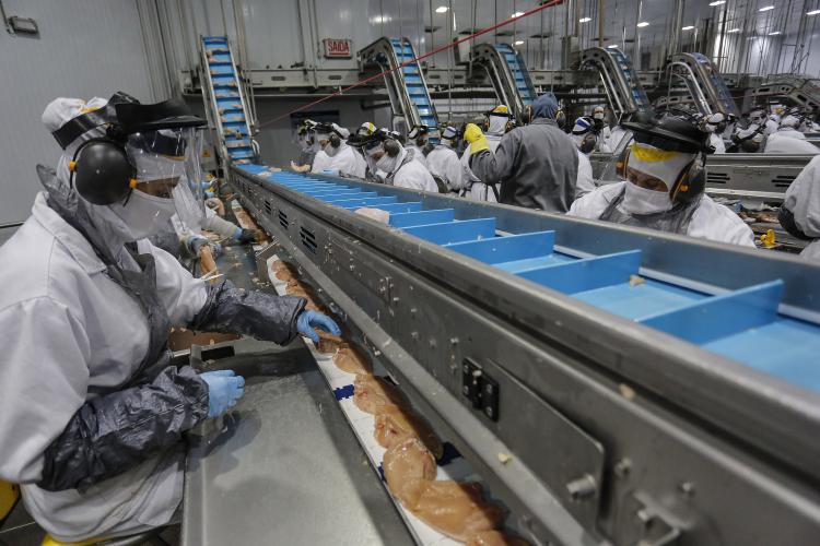 Com 4.832 vagas em novembro, Paraná segue como o Estado que mais emprega no Sul