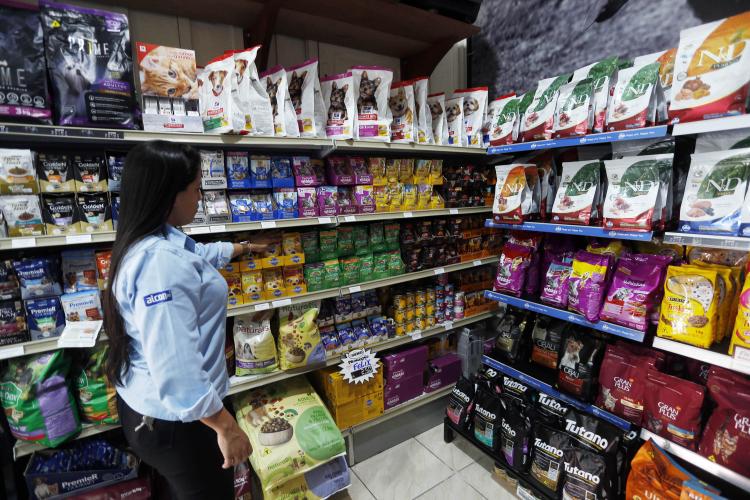 Com quase 71 mil novas vagas, Paraná lidera geração de empregos no Sul no 1º semestre