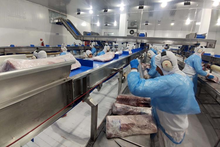 Paraná bate recorde de contratações via Agências do Trabalhador no mês de agosto