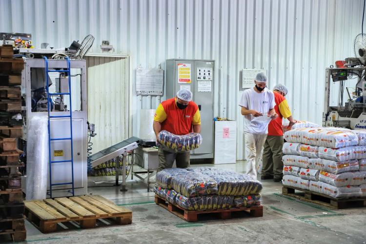 Com 5,9 milhões de pessoas, Paraná chega ao maior número de empregados da história