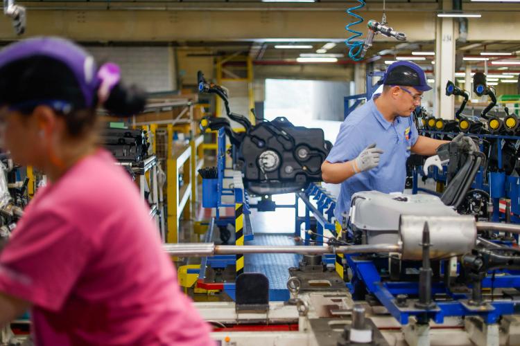 Semana começa com novo recorde de vagas de empregos no Paraná: 24,6 mil