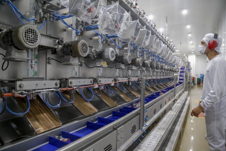 Mais de 300 cidades do Paraná registraram saldo positivo na geração de empregos em 2025