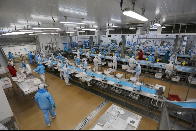 Indústria, comércio, serviços e mais: Paraná começa a semana com 25,8 mil vagas de emprego