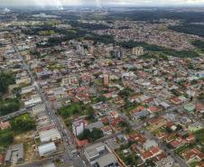 Araucária