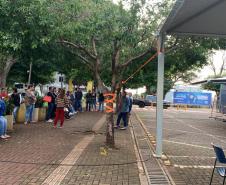 Emprega Mais Paraná