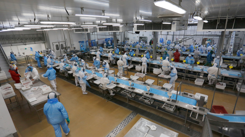 Paraná começa dezembro com recorde de 27,1 mil vagas nas Agências do Trabalhado