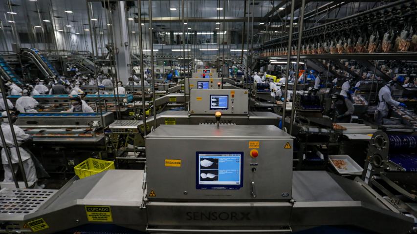 Serviços impulsionam geração de empregos e consolidam liderança do Paraná no mercado de trabalho em 2025